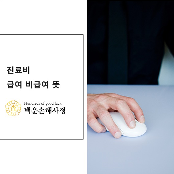  진료비 급여 비급여 뜻