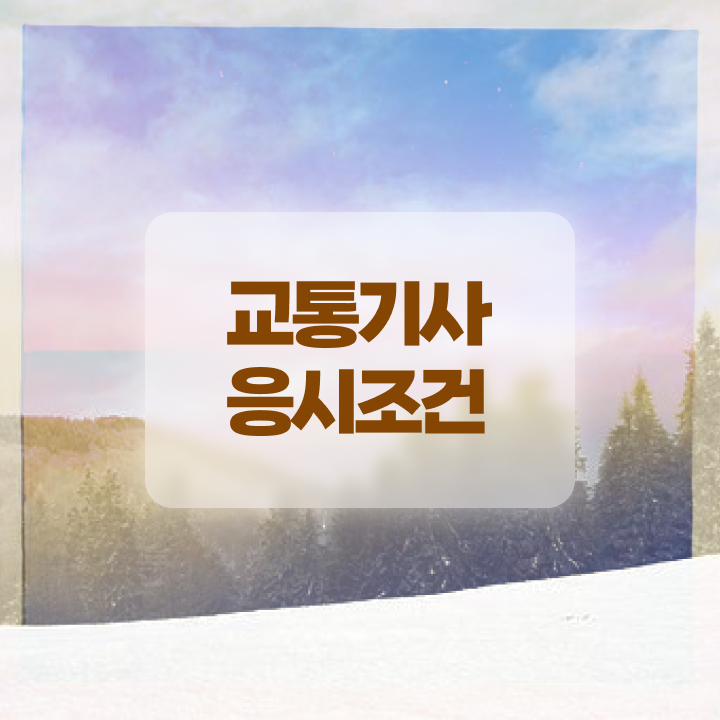  교통기사 과목 교통기사 시험응시조건 집에서 온라인으로 15주만에 성공한 후기