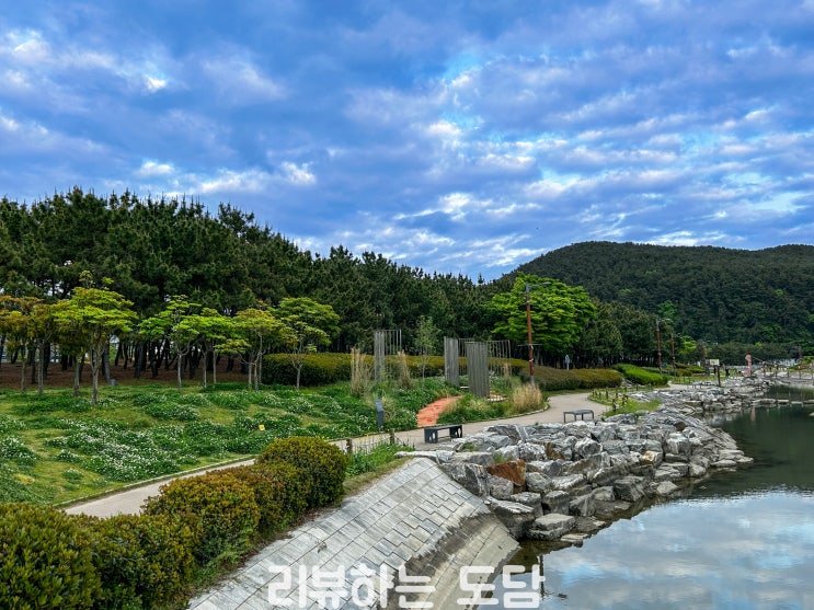  다대포 해수욕장에서의 하루 산책, 공원, 생태 탐방로와 함께