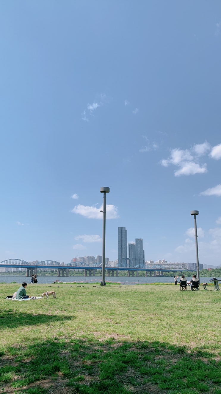 [파이어족일상] 안 바쁜 듯 바쁜 파이어 2주 차 일상