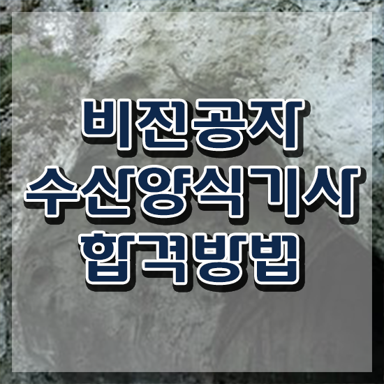  수산양식기사기출문제 수산양식기사 시험응시자격 온라인으로 5달만에 준비한 팁