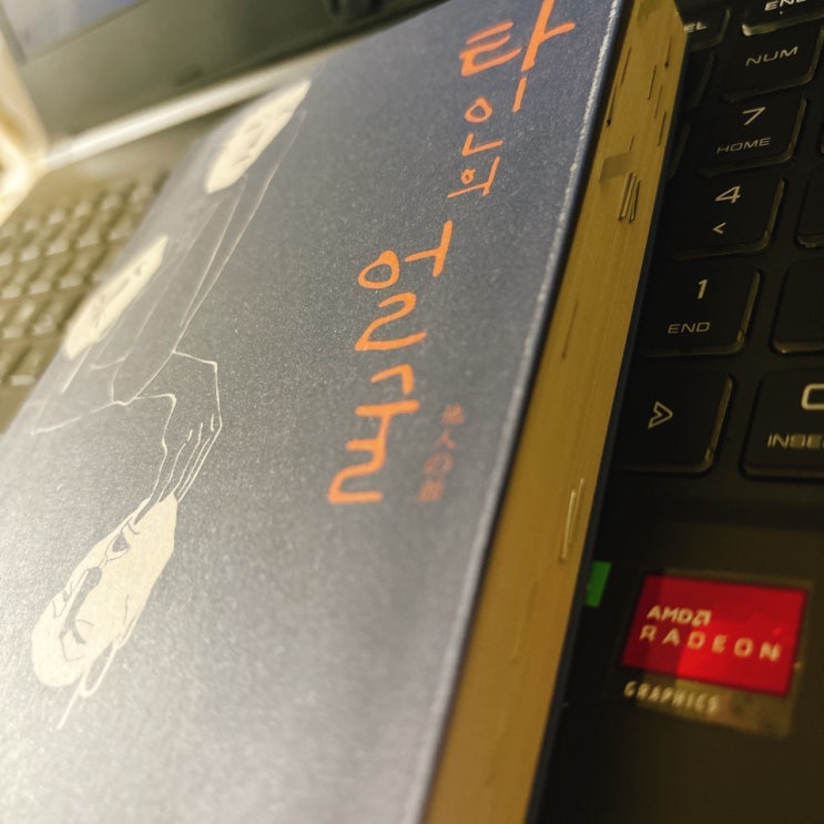  아베고보 <타인의 얼굴>