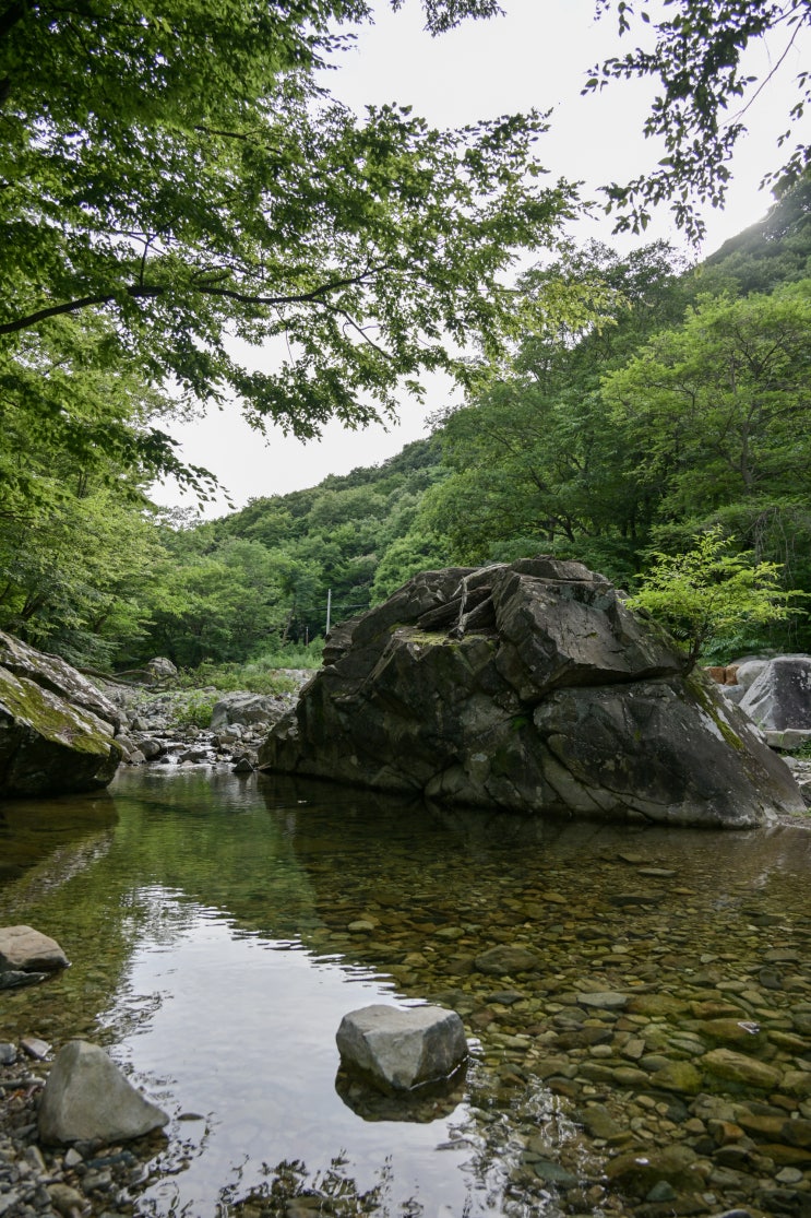  부산 기장의 장안사계곡과 장안사