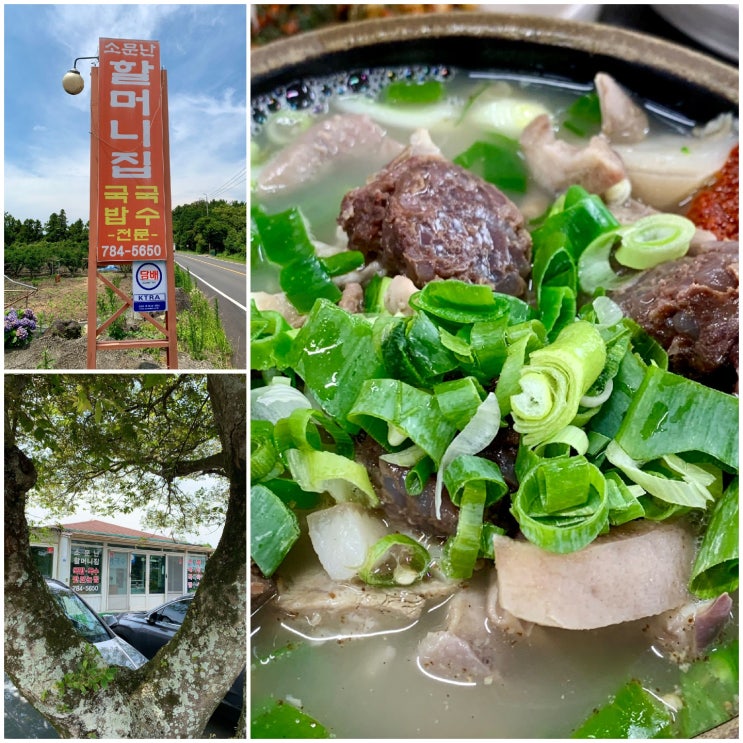  제주 와흘 국밥집 소문난 도민 맛집 소문난할머니집