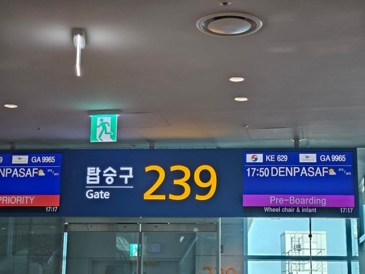  발리 대한항공 이코노미 왕복 직항 기내식 차일드밀 KE629 KE634 좌석 후기