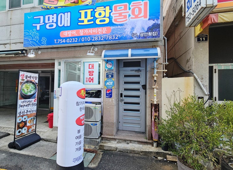  광안리 물회 구명애포항물회 광안리 본점