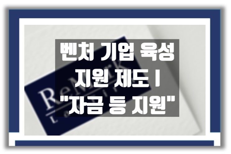  벤처기업 지원 제도Ⅰ : 자금 등 지원