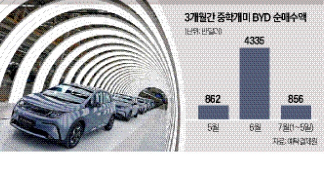 중학개미, 전기차 BYD에 꽂혔다 중학개미, 전기차 BYD에 꽂혔다
