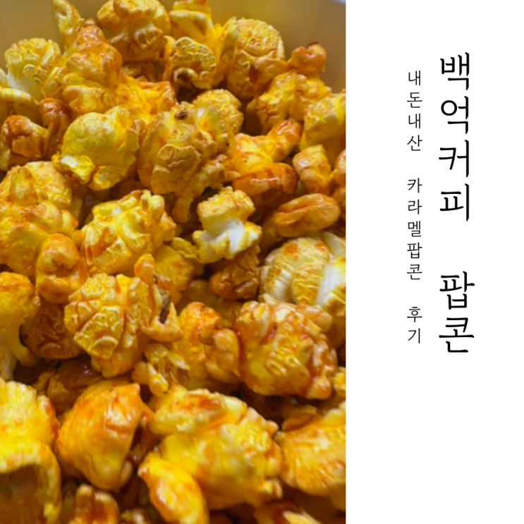  백억커피 팝콘판다길래 못 참고 달려가서 내돈내산