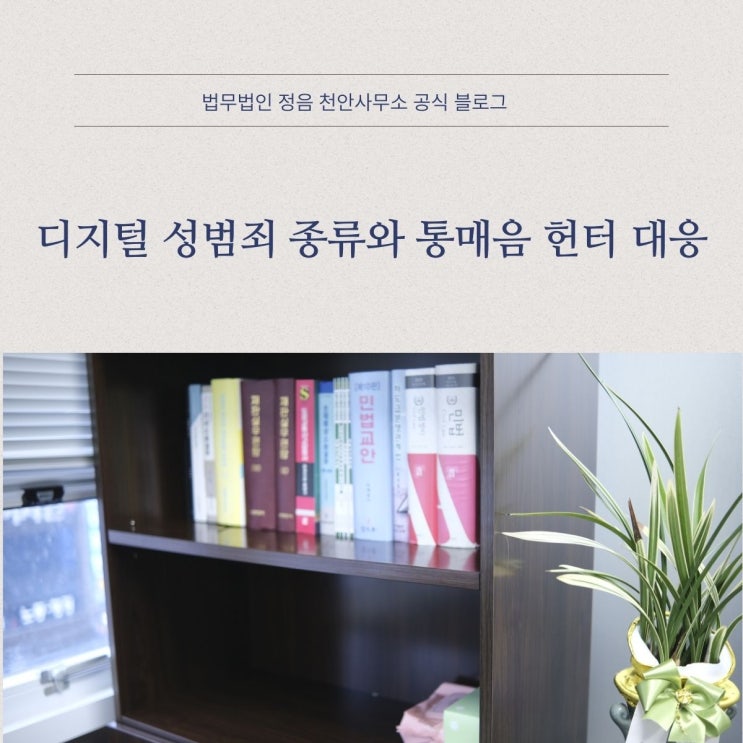  디지털 성범죄 종류와 통매음 헌터 대응 천안형사변호사