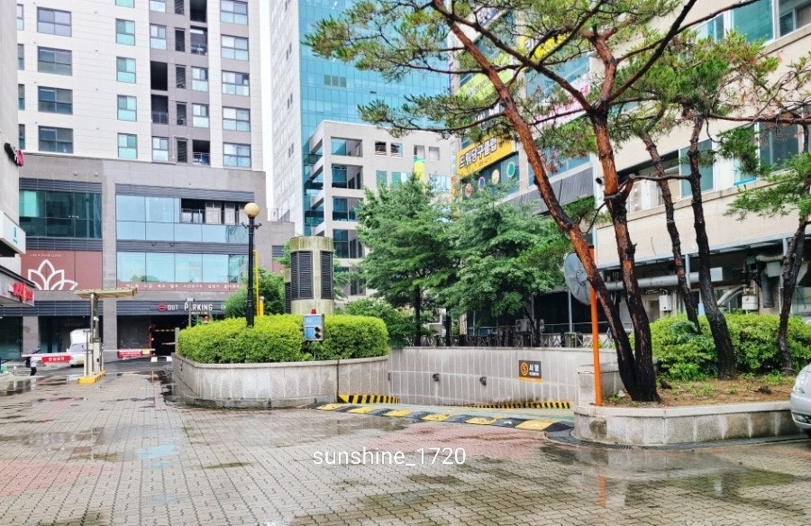 맘스터치 대전청사점 사진 5