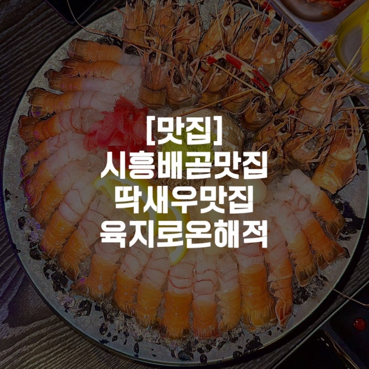  [맛집]시흥배곧맛집 딱새우맛집 육지로온해적