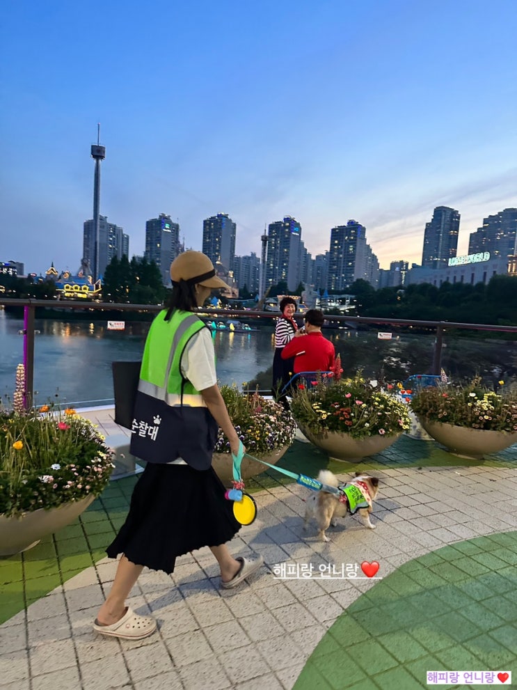  장마철 순찰활동 주의사항! 강아지 우천 시 산책 꿀팁 서울시 반려견 순찰대 공지사항