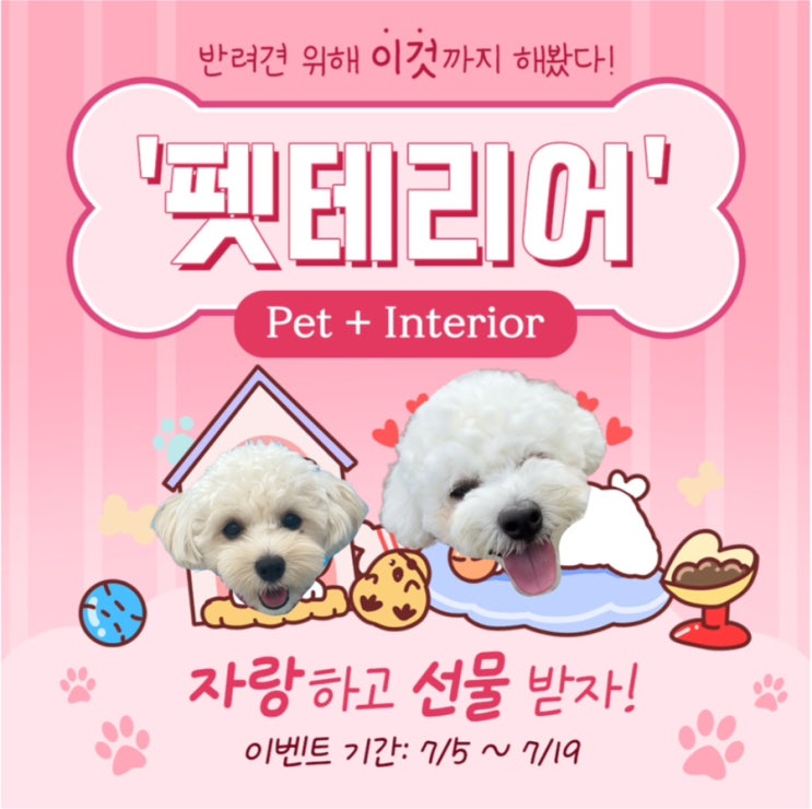  포동 서포터즈 7기 반려견 위해 이것까지 해봤다 펫테리어 자랑하고 치킨 받자