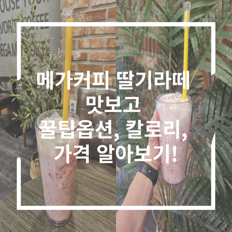 메가커피 딸기라떼 맛보고 꿀팁옵션, 칼로리, 가격 알아보기!