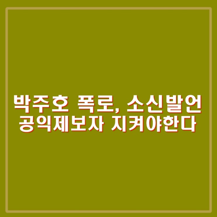 <b>박주호</b> <b>폭로</b>, 홍명보 감독 선임과정 등 소신발언 축구협회... 