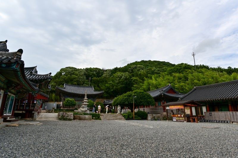 부산 기장의 장안사계곡과 장안사 : 네이버 블로그