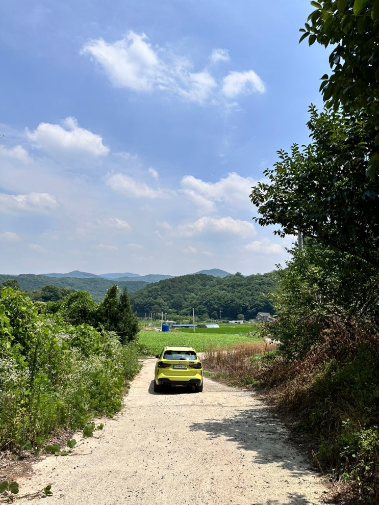  (급매)경기도 안성 일죽 묘자리,전원주택,토지매매