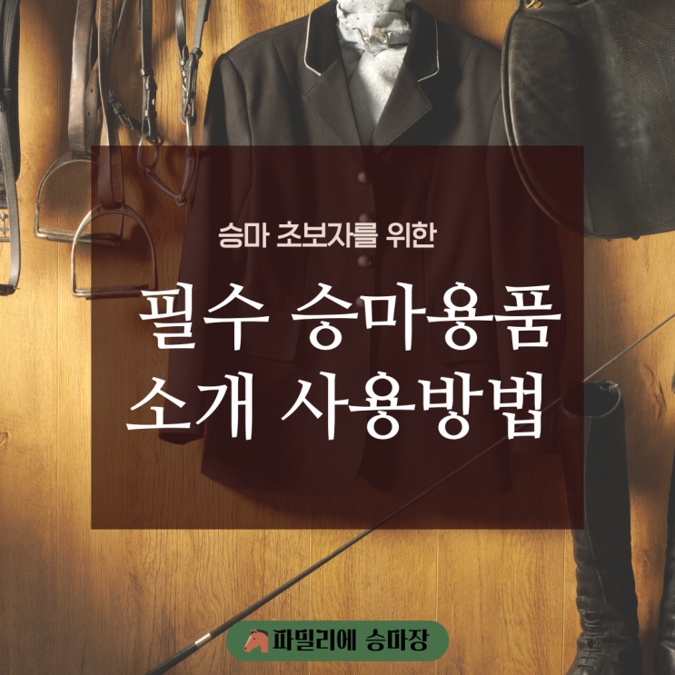  승마 초보자를 위한 필수 승마용품 소개 및 사용방법