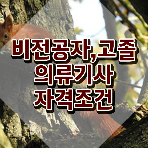  의류기사 취득자격 인강으로 쉽고 빠르게 준비한 방법