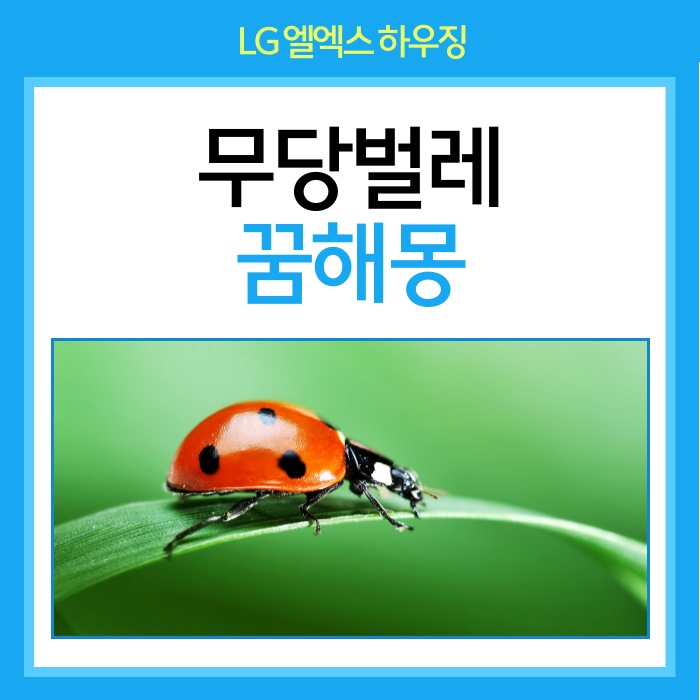무당벌레 꿈해몽, 어떤 의미일까요