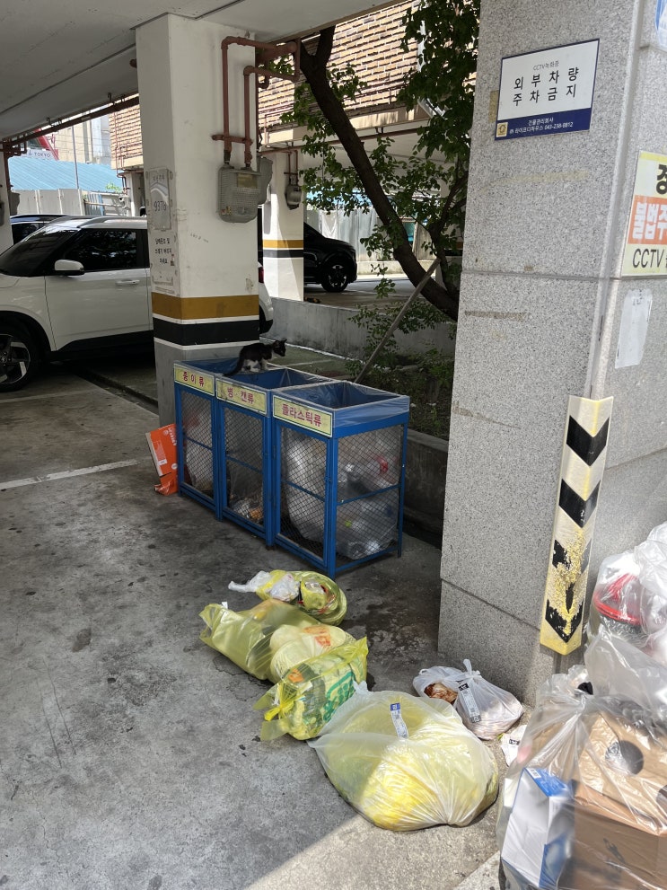  7월의 포토덤프, 주말