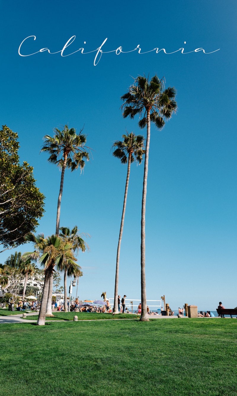 LA 여행 추천 - 캘리포니아 최고의 낭만 해변 라구나비치 l 7월 8월 미국서부여행지 : 네이버 블로그, image size:800x1337