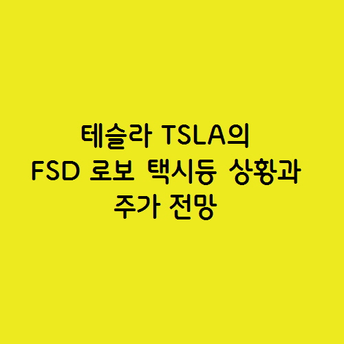  테슬라 TSLA  FSD 로보 택시등 상황과 주가 전망
