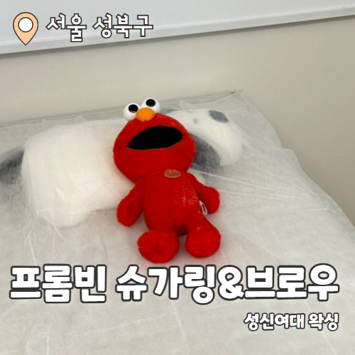  프롬빈 슈가링&브로우 : 자극없이 빠르고 깔끔한 성신여대왁싱 후기