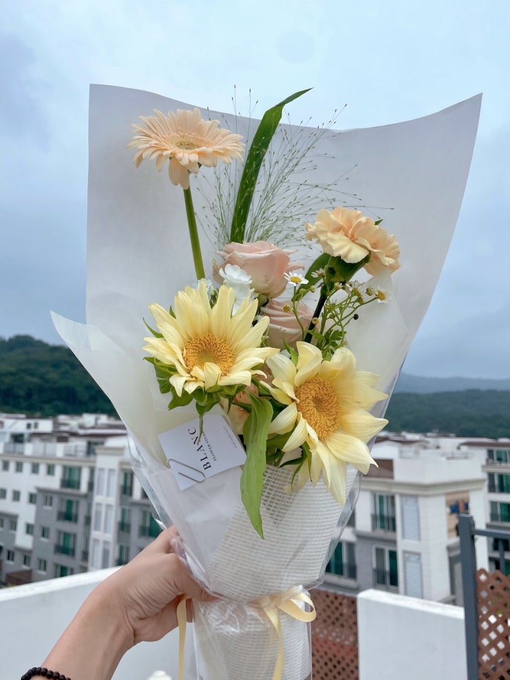  24년 7월 월간 일상 上 : 우리는 사랑 아니면 여행이겠지