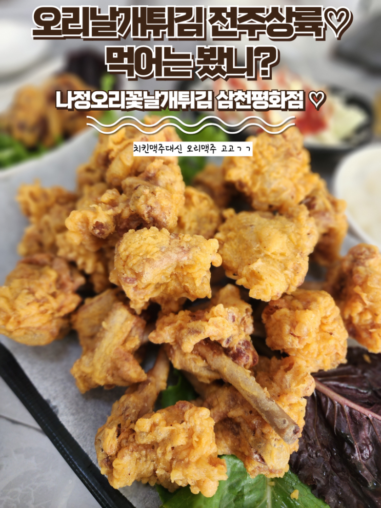  전주 삼천동 맛집 : [나정오리꽃날개튀김 삼천평화점] 전주 삼천동 술집은 여기! 전주상륙 오리날개튀김!!!