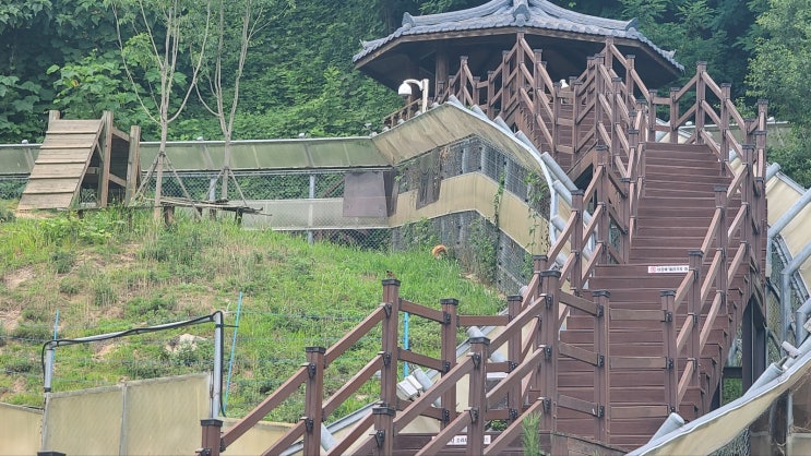 영주 여우탐방원과 인삼 박물관