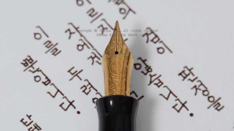  판정 시기 (오로라 단테 F닙 만년필로 필사하기)