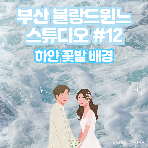  부산 블랑드윈느 스튜디오 실내 하얀 꽃밭 배경