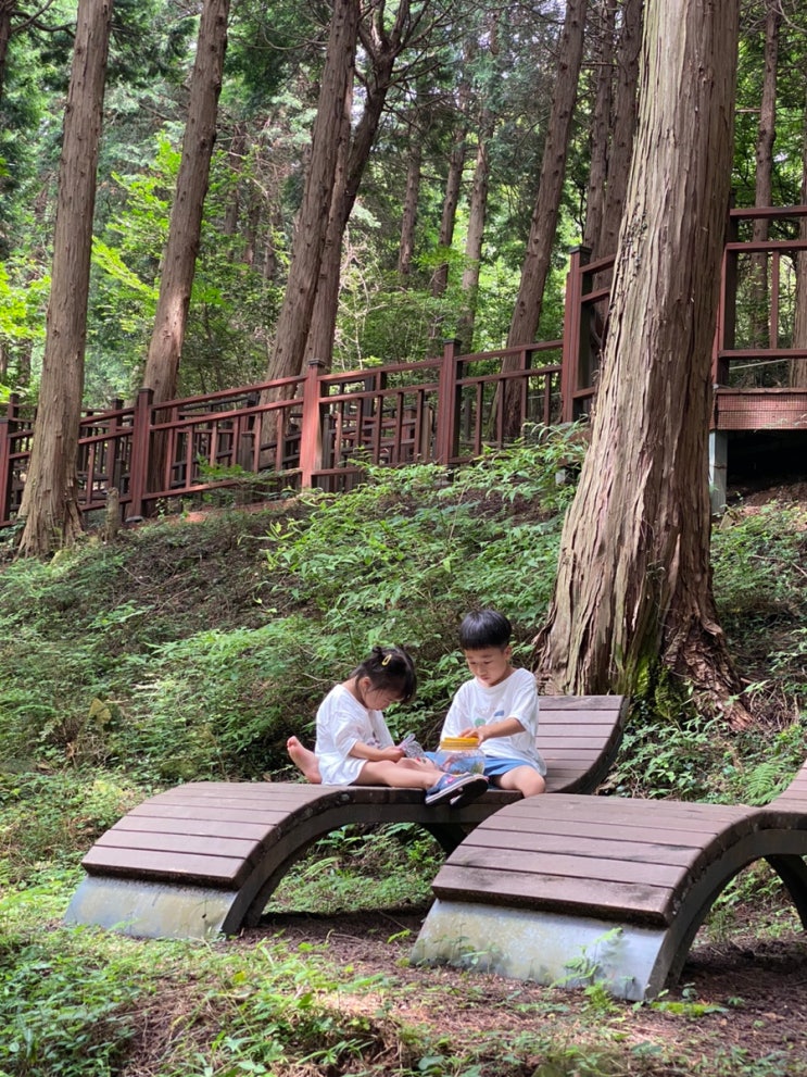 여수 돌산가볼만한곳 편백나무산책로 데크길 바다뷰 봉황산자연휴양림