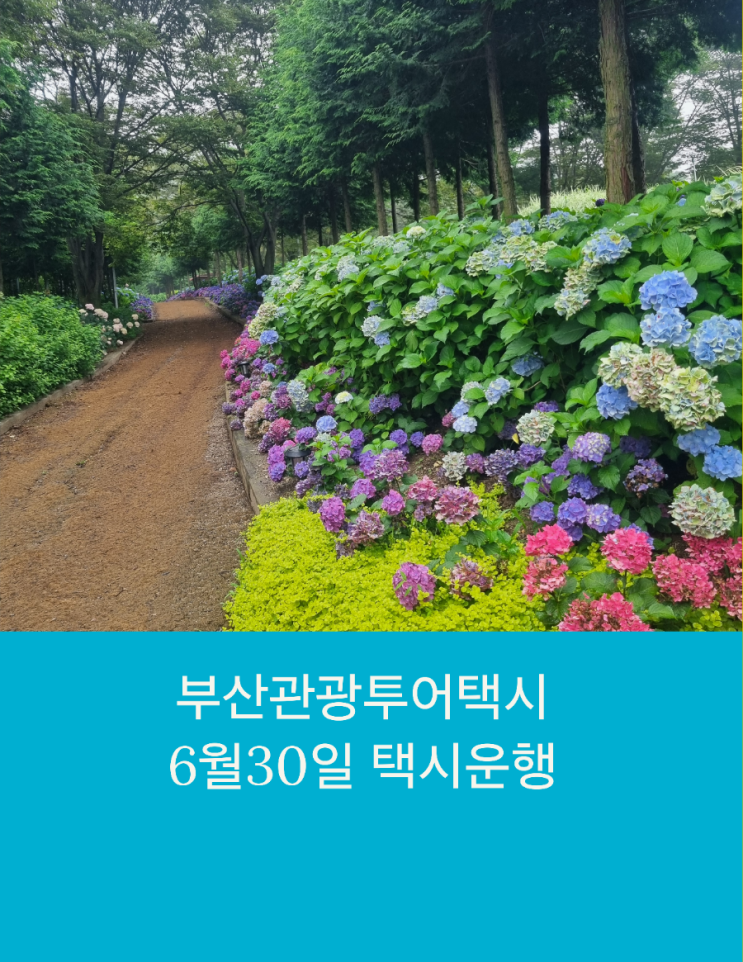  부산택시투어 여러분 고민하지 마시고 선택해주세요