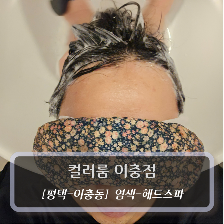 [평택-이충동, 헤드스파-염색] 컬러룸 이충점