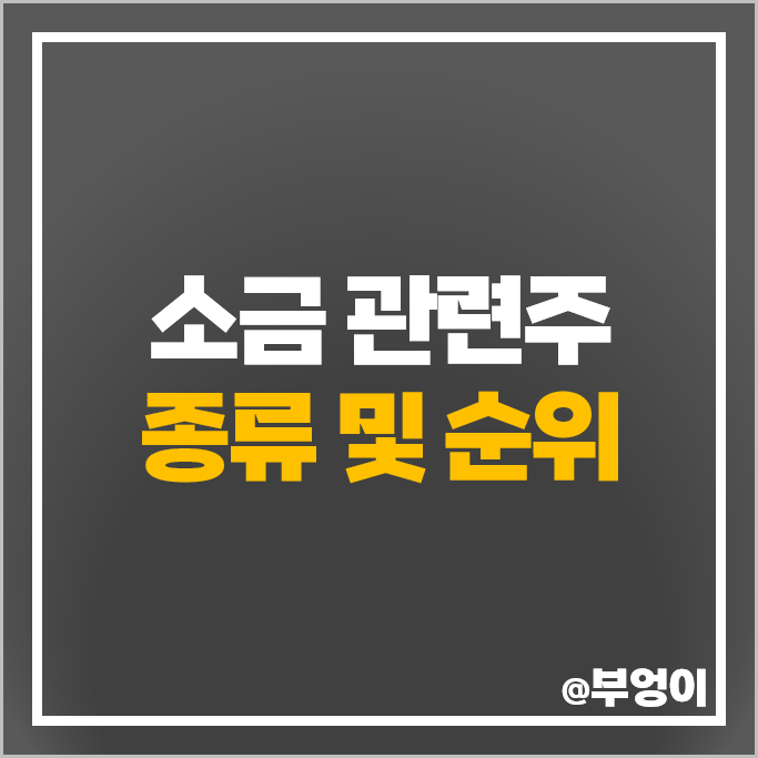 소금 관련주 후쿠시마 오염수 테마주 보라티알 주식 인산가 주가 소금 관련주 후쿠시마 오염수 테마주 보라티알 주식 인산가 주가