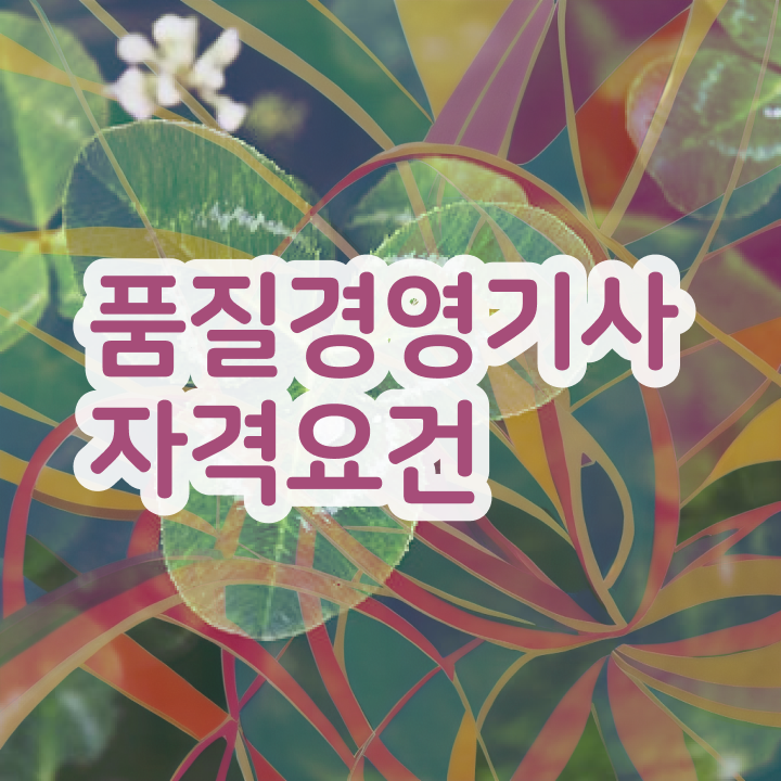  품질경영기사 실기 품질경영기사 응시조건 학점은행제로 1학기에 성공한 비법