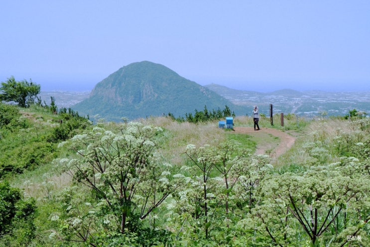  차 타고 가는 제주도 서쪽 오름 추천 제주 군산오름 주차장 주의사항