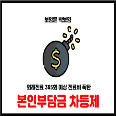  2024년 7월 1일 외래진료 365회 이상 본인부담 차등제 적용시행