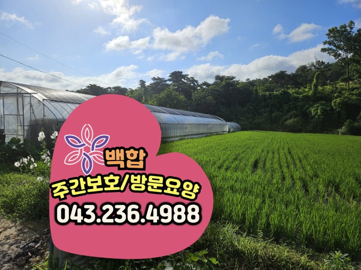  청주주간보호센터 청주노인주간보호센터 7월 첫째 주 어르신들과 함께한 즐거운 활동 기록!