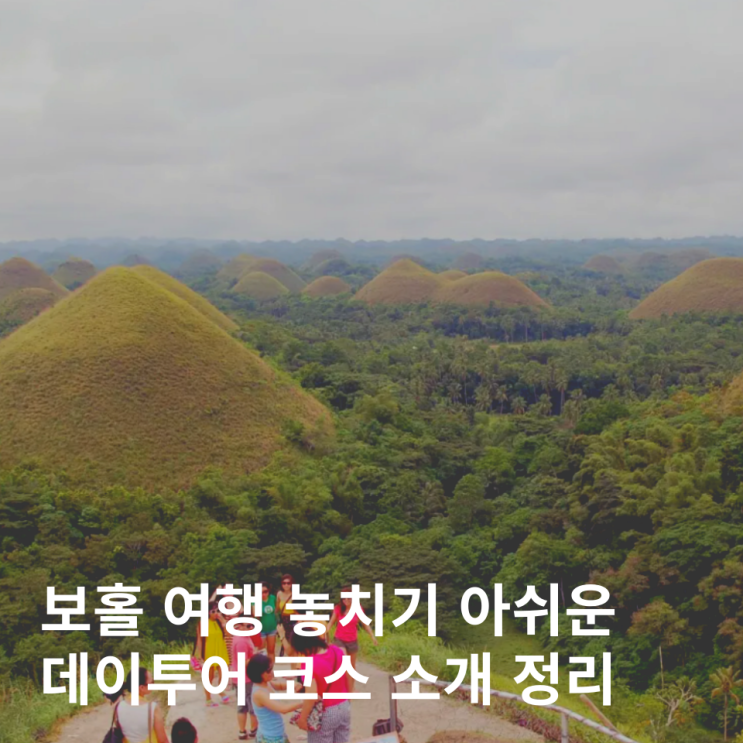  보홀 육상 데이 투어 안경원숭이 로복강 초콜릿힐 코스 일정