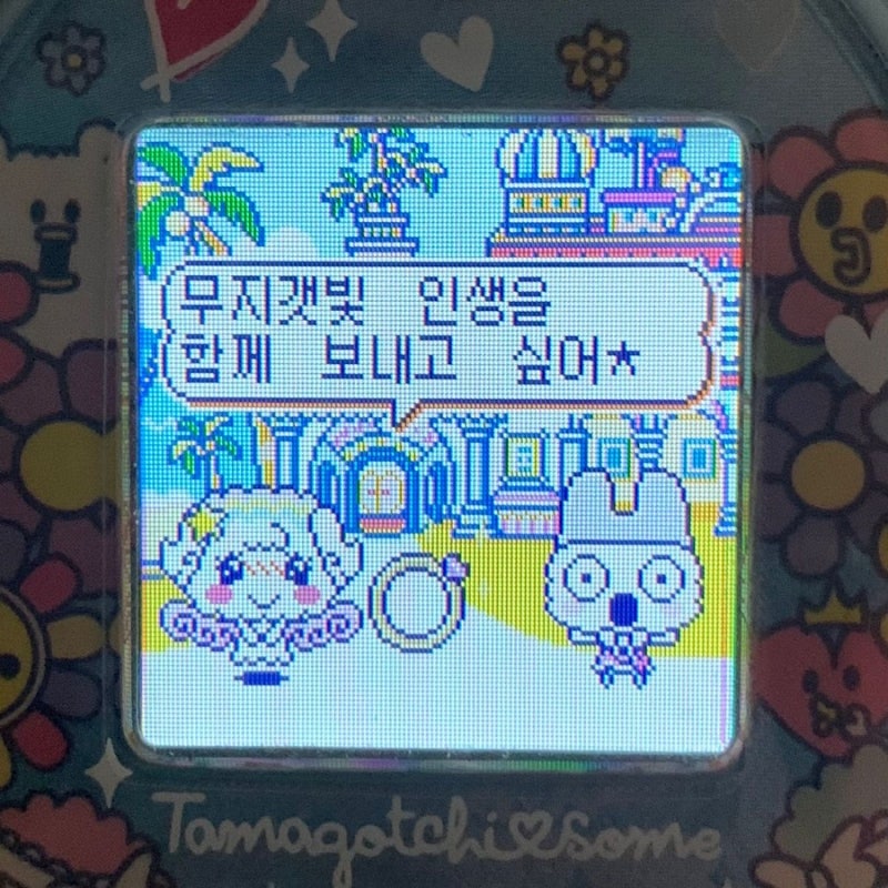 빠순이 기록 - 3 세븐틴 인기가요 마에스트로 선공개 사녹