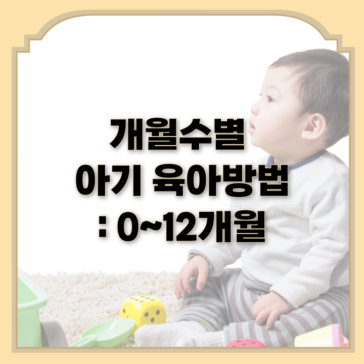  개월수별 아기 육아방법