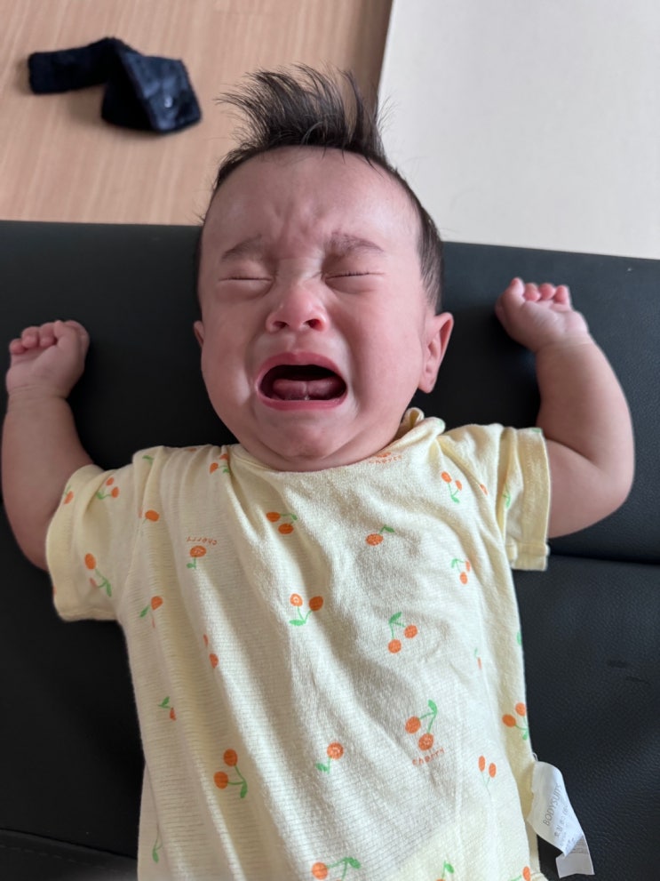 도담이는 평범함을 거부한다D+253 도담이는 평범함을 거부한다D+253