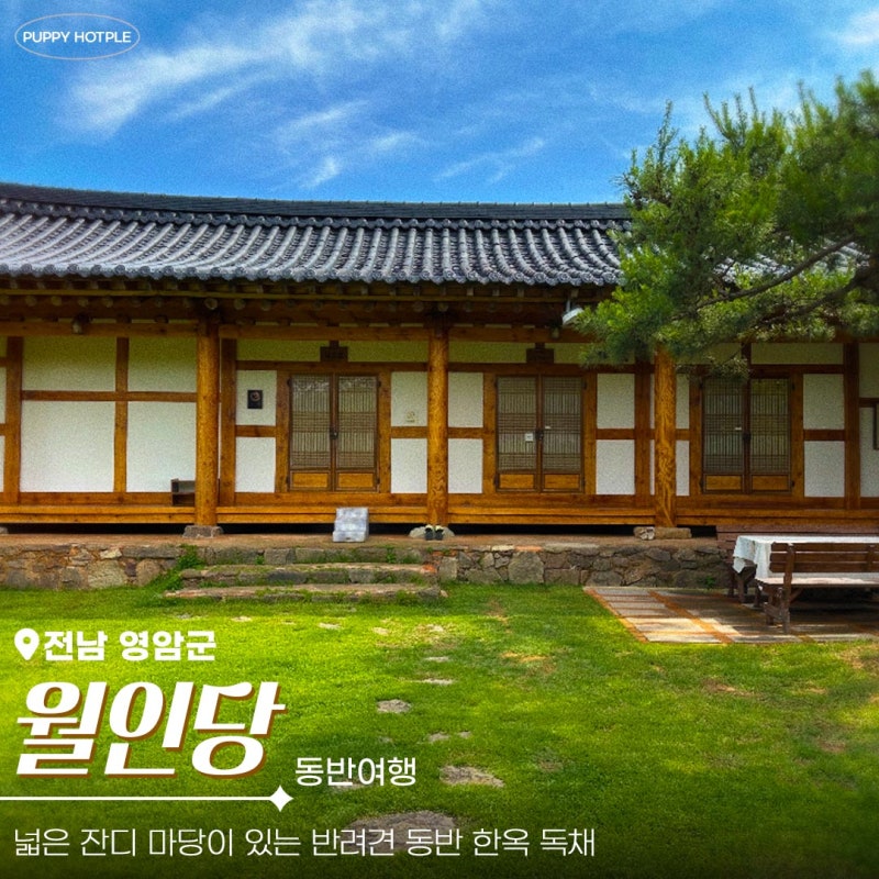 사진 3