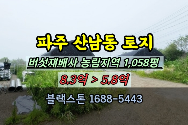  파주토지 1천평 경매 산남동 버섯재배사 5억대 최저가