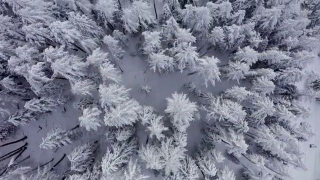  여름 가족여행 고민중이라면 ? 현지 전문가 에게 직접 물어보세요. (무료 서비스)
