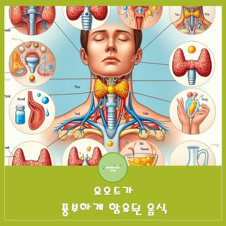  요오드가 풍부한 음식|갑상선건강|뇌발달|면역증진|필수미네랄